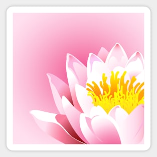 Dreamy Lotus Blossoms Magnet